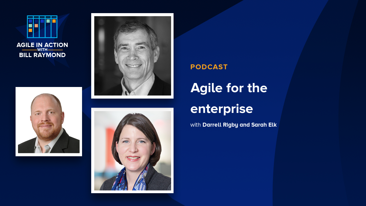 Agile for the enterprise 