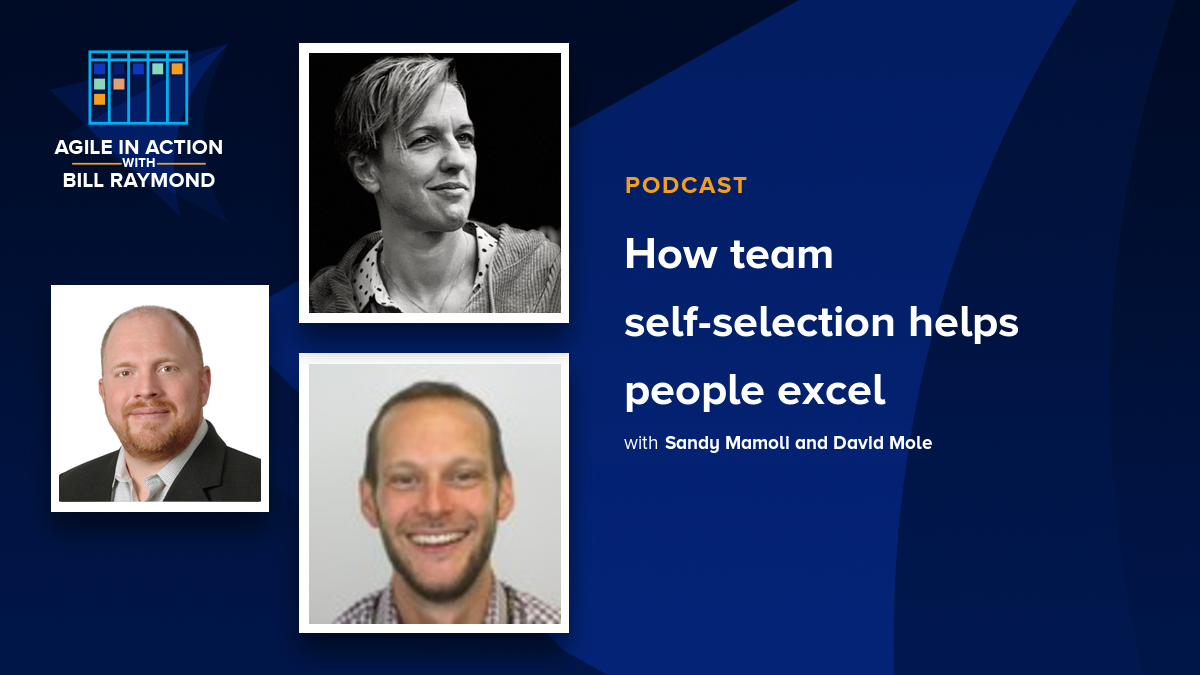 How team self-selection helps people excel